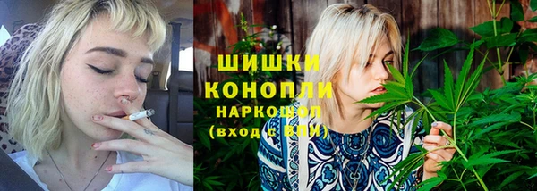 spice Аркадак