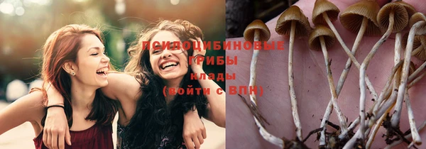 мяу мяу кристалл Армянск