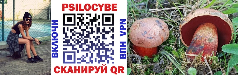 Псилоцибиновые грибы прущие грибы Муравленко